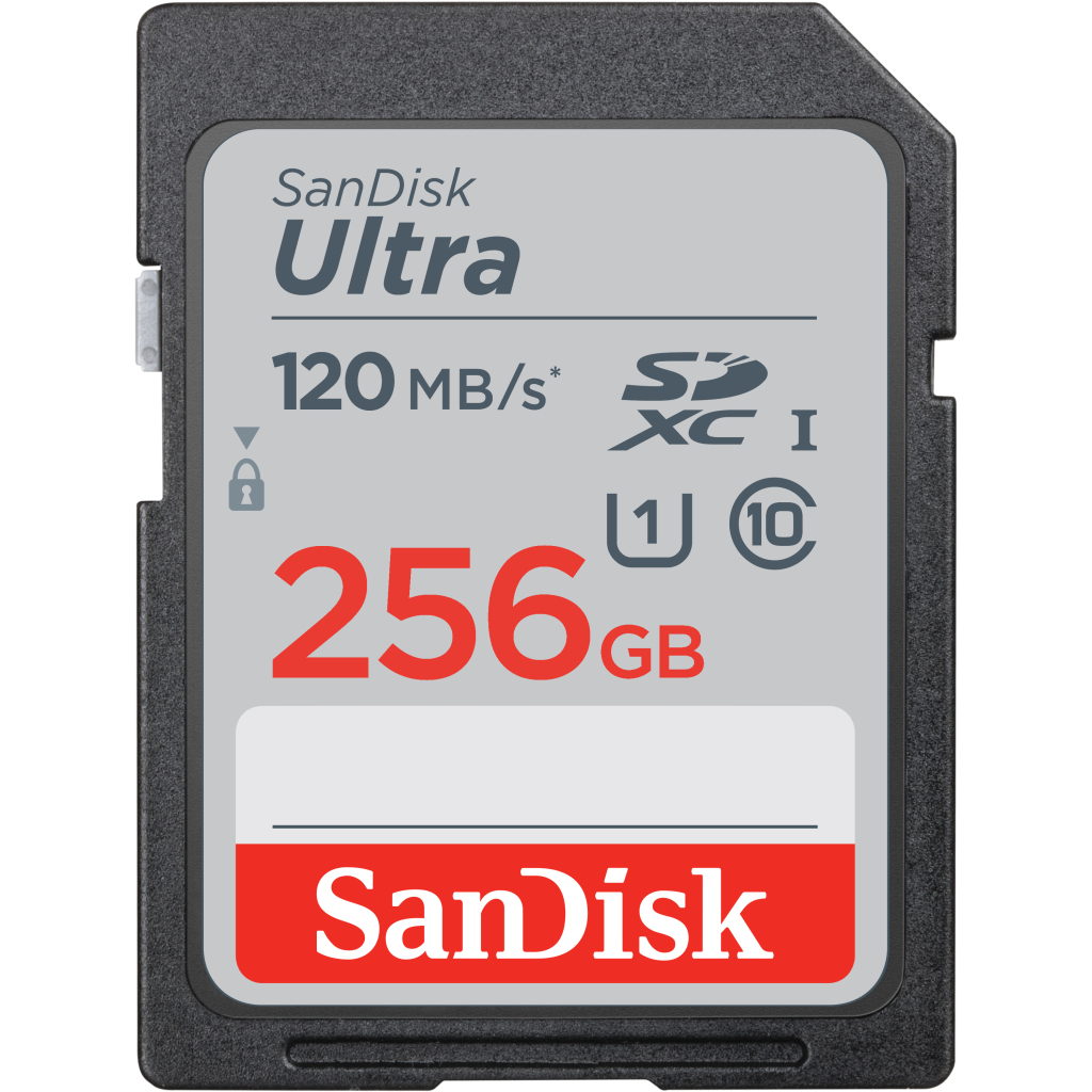 Карта пам'яті SanDisk 256GB SD class 10 UHS-I Ultra (SDSDUN4-256G-GN6IN) - зображення 1