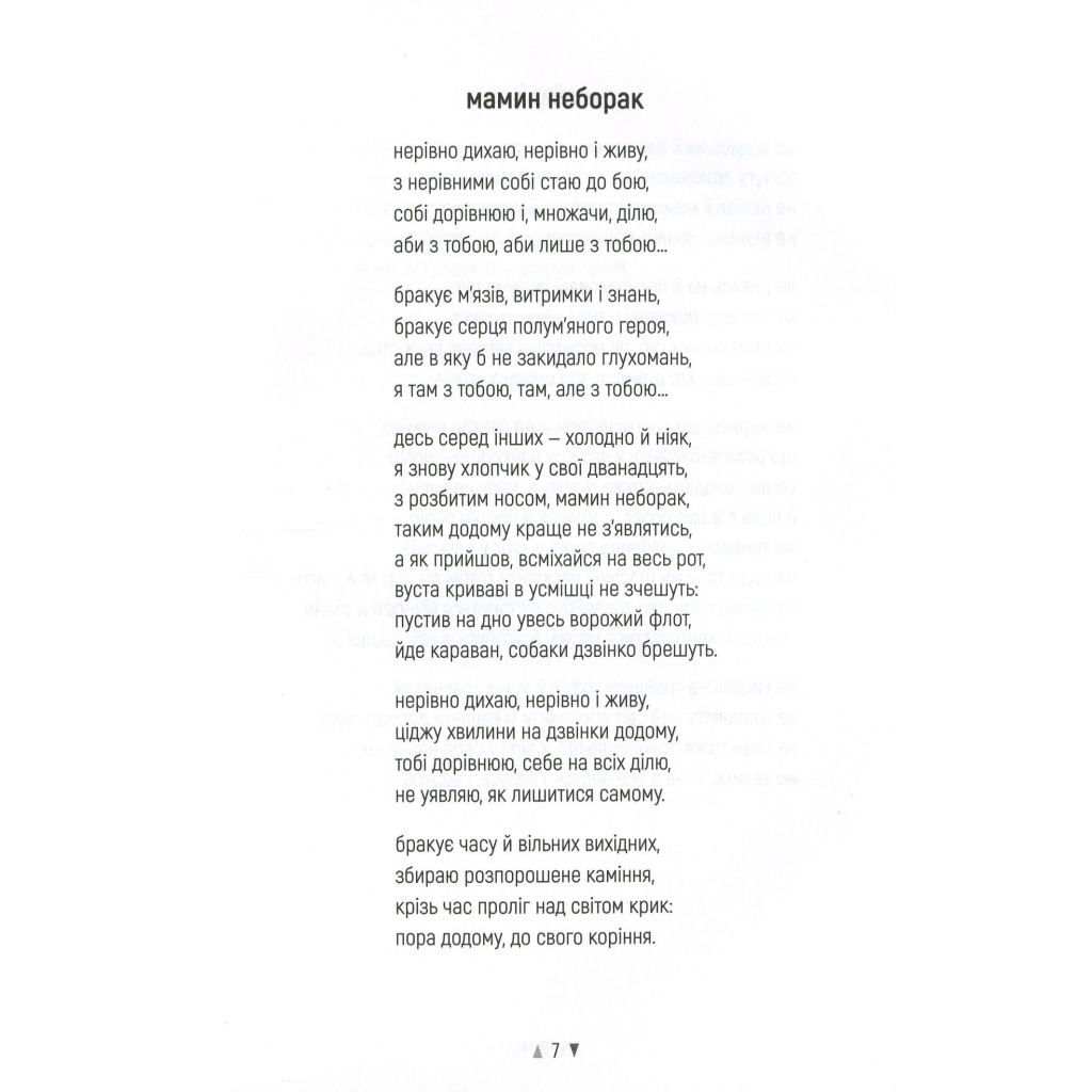 Книга Реп'яхи - Сергій "Колос" Мартинюк Фабула (9786170959911) - зображення 7