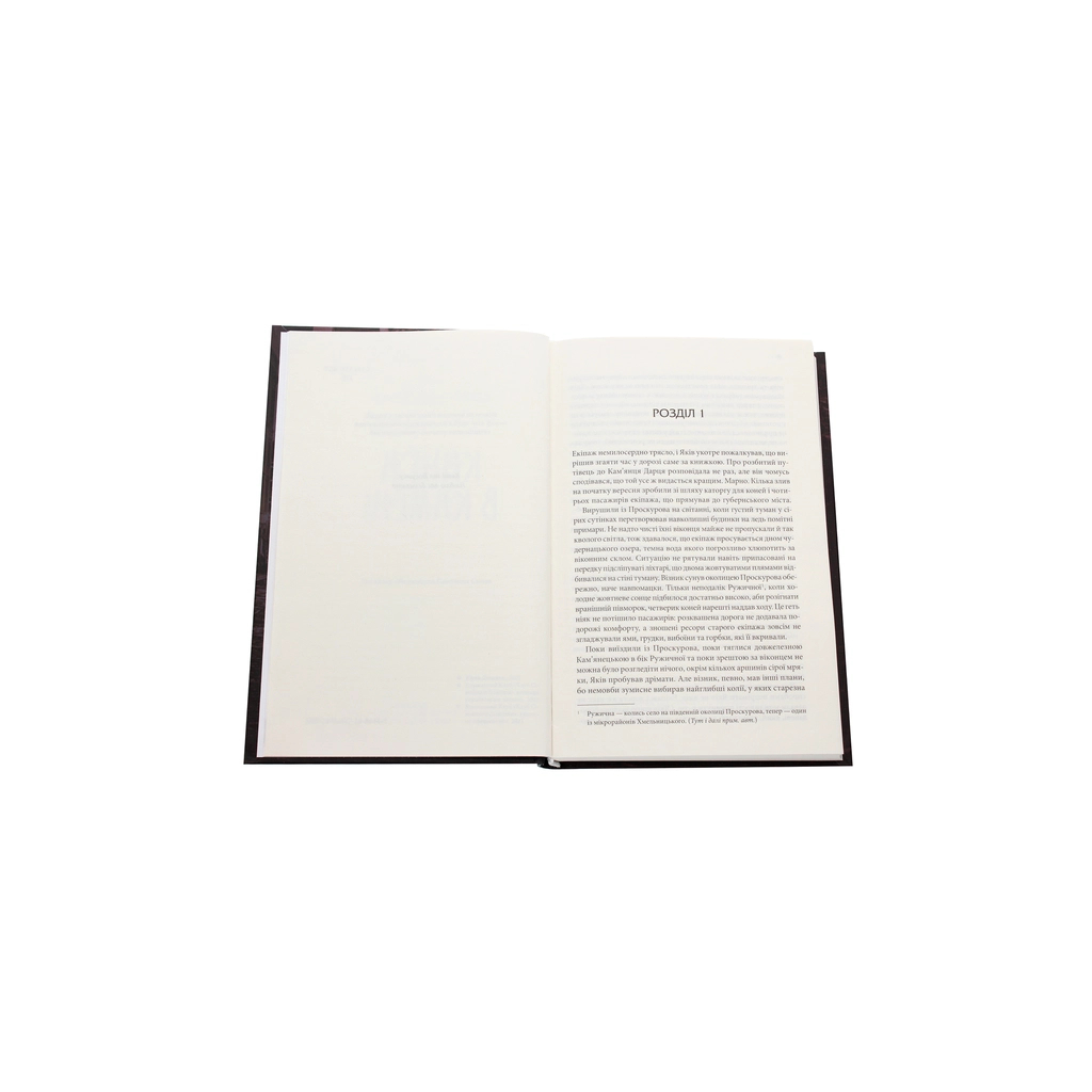 Книга Книга в камені - Юрій Даценко КСД (9786171286443) - зображення 4