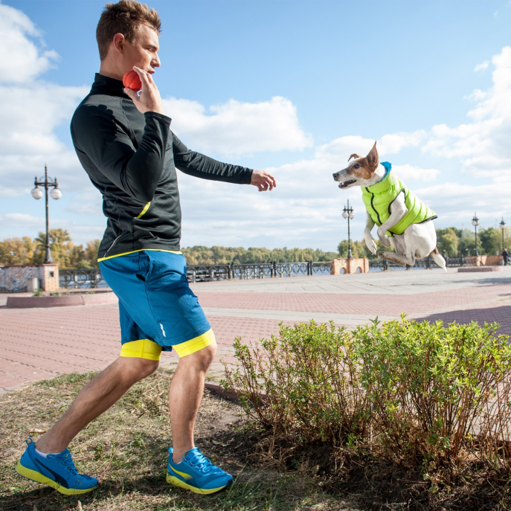 Курточка для тварин Airy Vest двостороння М 50 салатово-блакитна (1630) - зображення 9