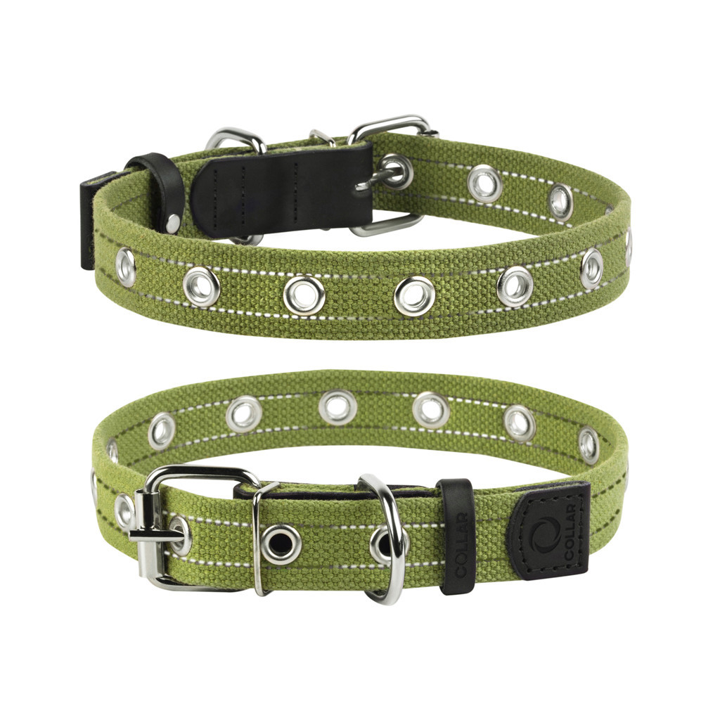 Нашийник для тварин Collar Брезент безрозмірний Ш 25 мм Д 52 см (6755) - зображення 1