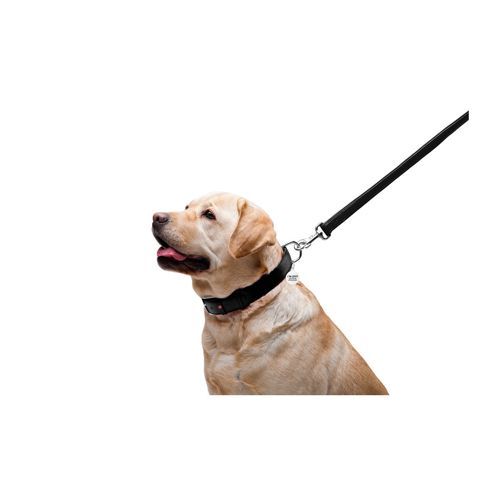 Повідець для собак WAUDOG Glamour шкіряний M-XXL чорний (33761) - зображення 5