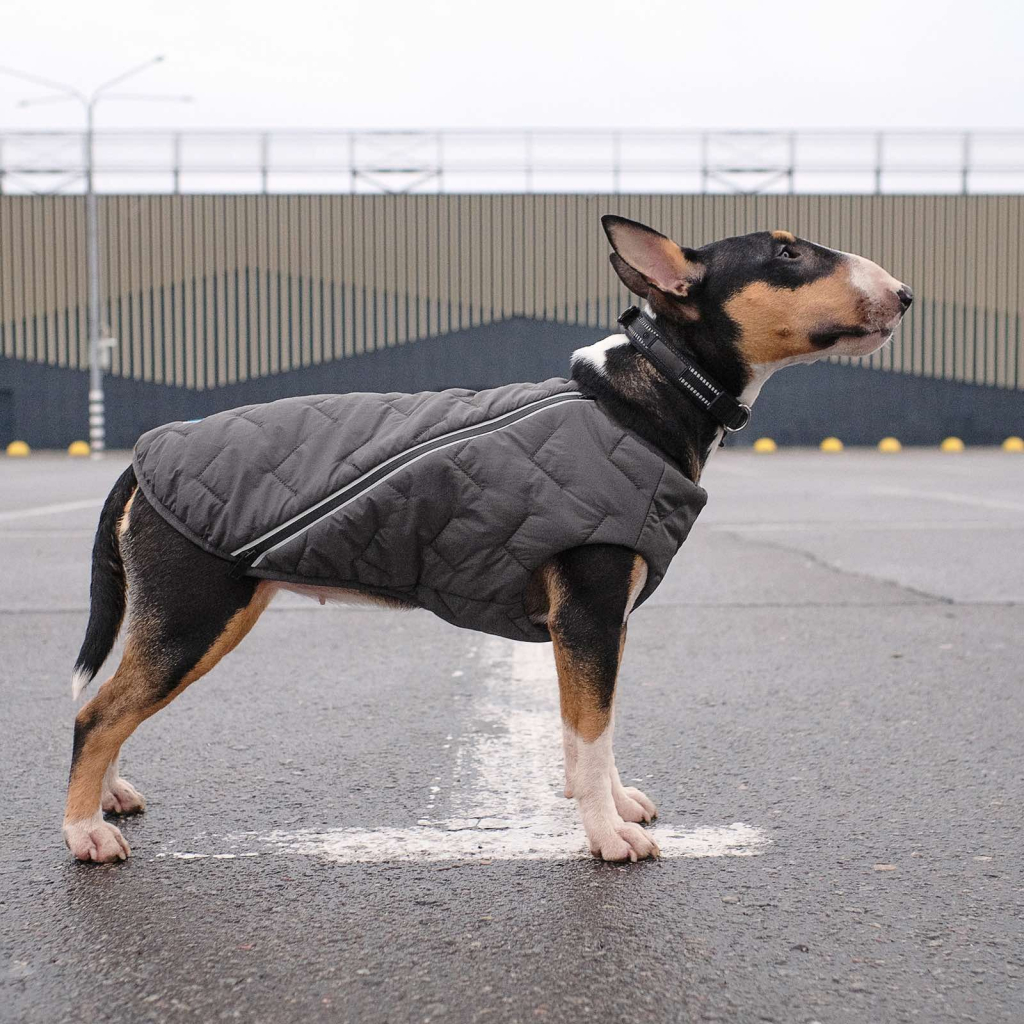 Жилет для тварин Pet Fashion "E.Vest" XL сірий (4823082424429) - зображення 6