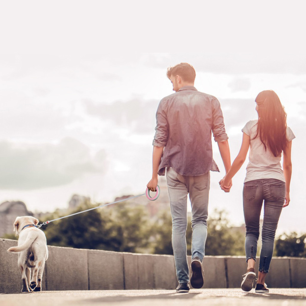 Повідець для собак WAUDOG R-leash світловідбиваюча стрічка XS-M до 40 кг 2.9 м рожевий (81277) - изображение 9