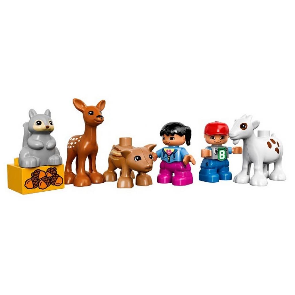 Конструктор LEGO Duplo Ліс: тварини (10582) - зображення 4