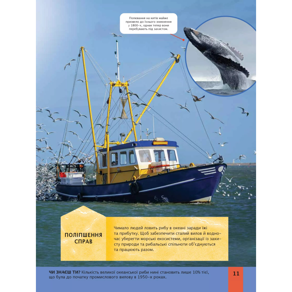 Книга Дитяча енциклопедія довкілля Vivat (9786171704831) - зображення 11