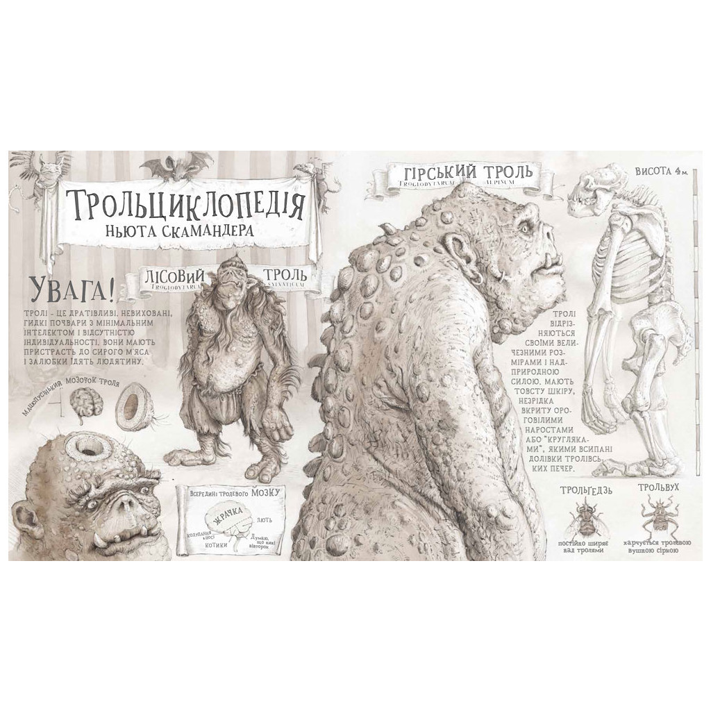 Книга Гаррі Поттер і філософський камінь. Велике ілюстроване видання - Джоан Ролінґ А-ба-ба-га-ла-ма-га (9786175851005) - зображення 5