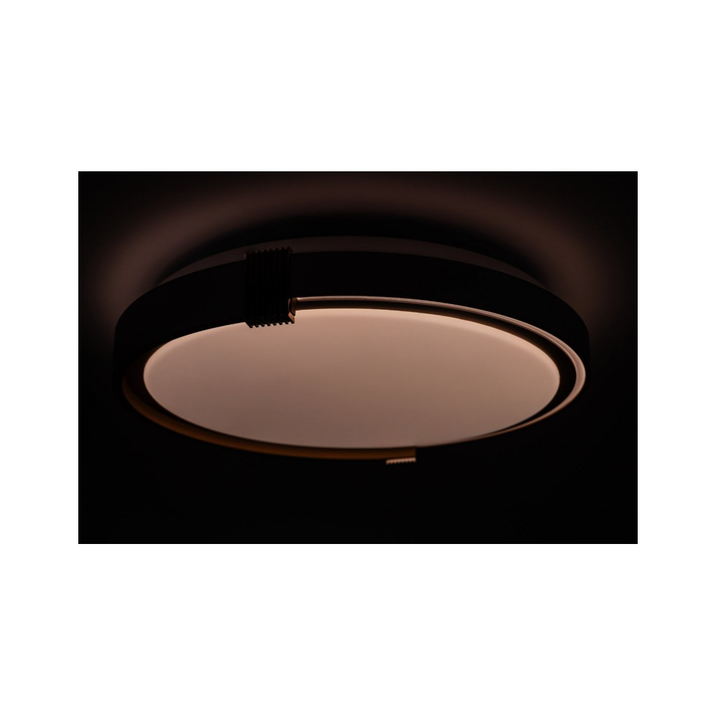 Світильник Vestum COLISEUM матовий 60W 395*60мм 3000К-6500К з ДК біле золото (VS-91065) - picture 7