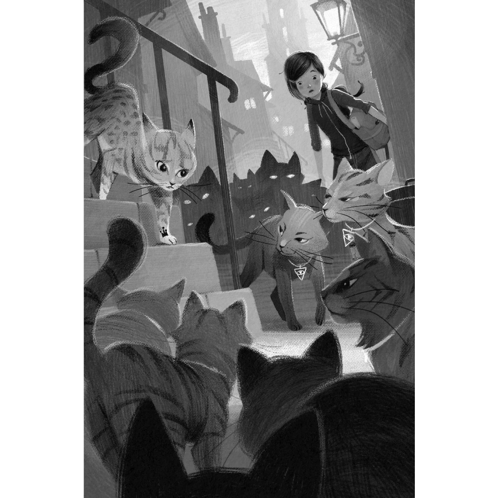 Книга Опівнічні Коти. Школа фелідіксів. Книга 1 - Барбара Лабан Видавництво РМ (9786178373276) - зображення 6