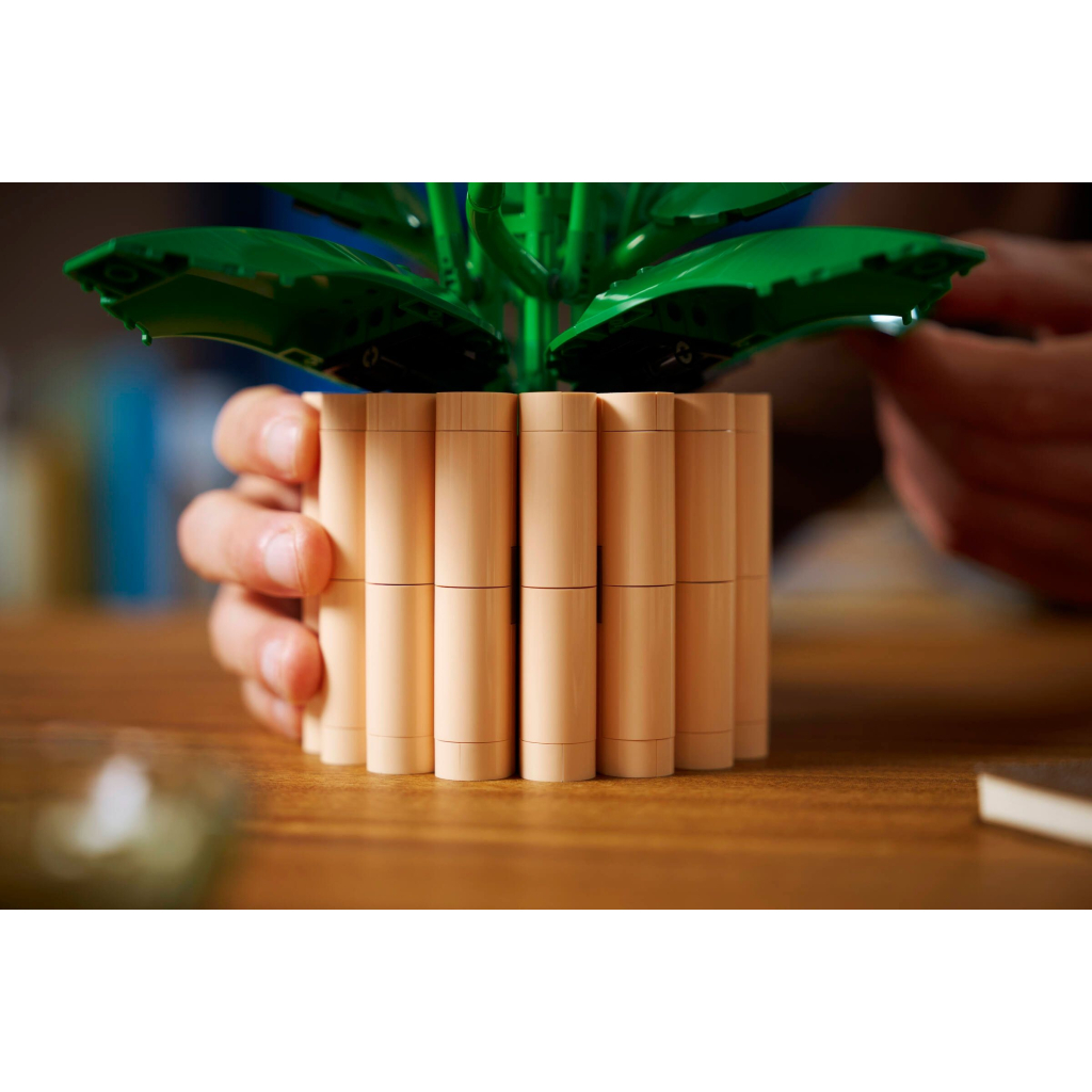 Конструктор LEGO Botanicals Спатифілум (11504) - зображення 9