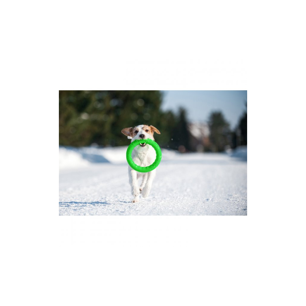 Іграшка для собак Collar PitchDog Кільце для апортування 28 см салатове (62385) - зображення 8