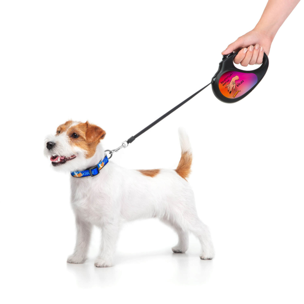Повідець для собак WAUDOG R-leash Конотопські магічні війська світловідбиваюча стрічка L 5 м (8126-0232-01) - зображення 5