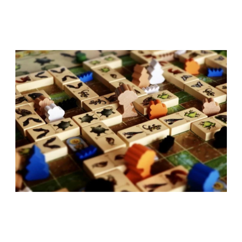 Настільна гра Capstone Games Renature (Розквіт), англійська (5060226932955) - зображення 5