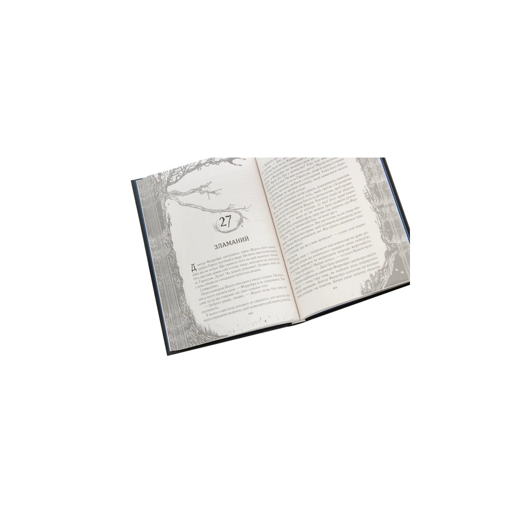 Книга Лабіринт Фавна - Корнелія Функе, Гільєрмо дель Торо КСД (9786171279155) - зображення 5