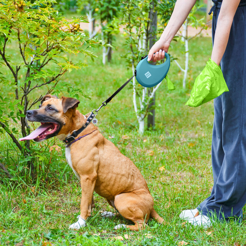 Повідець для собак WAUDOG R-leash з контейнером для пакетів S до 12 кг 3 м блакитний (26272) - зображення 9