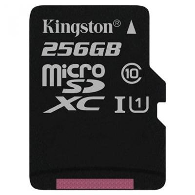 Карта пам'яті Kingston 256GB microSDXC Class 10 UHS-I (SDC10G2/256GBSP) - зображення 1