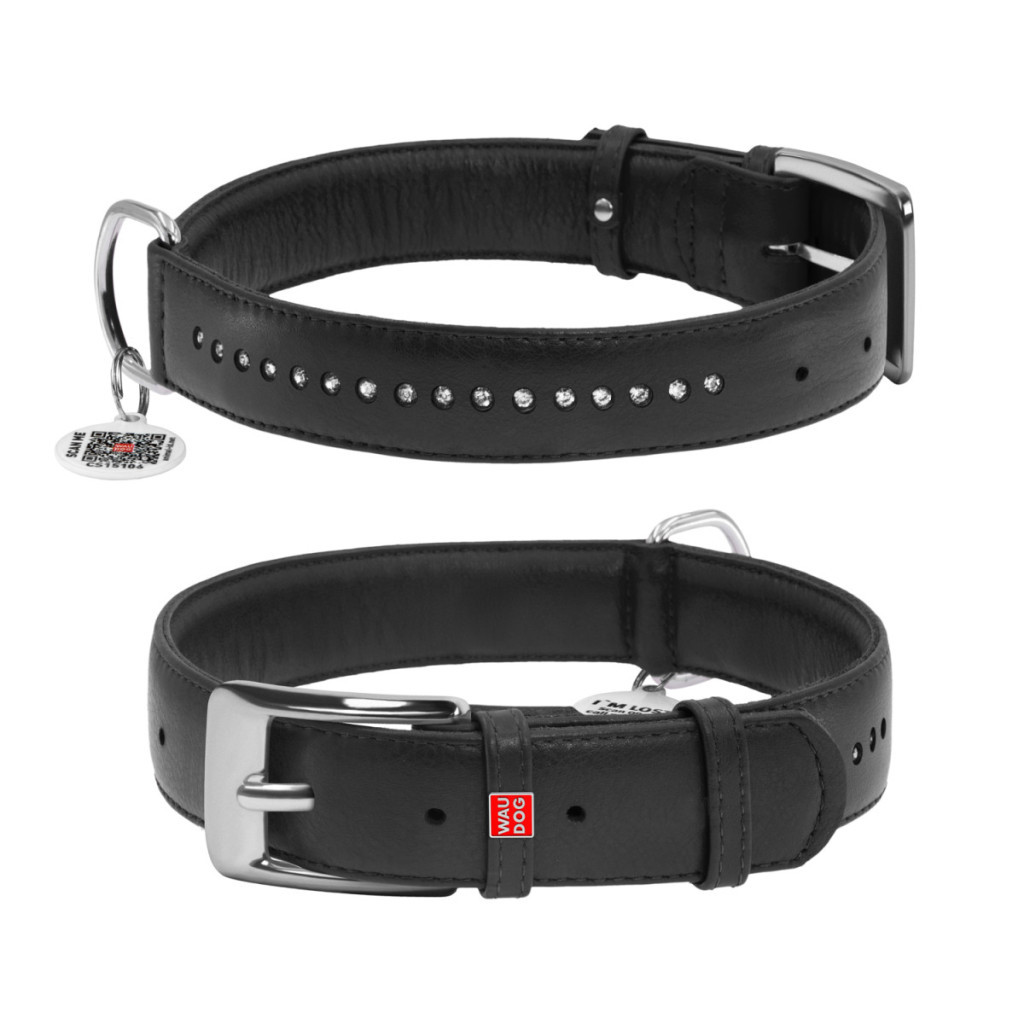 Нашийник для тварин WAUDOG Glamour з QR-паспортом, подвійний Ш 20 мм Д 30-39 см чорний (38761) - зображення 1