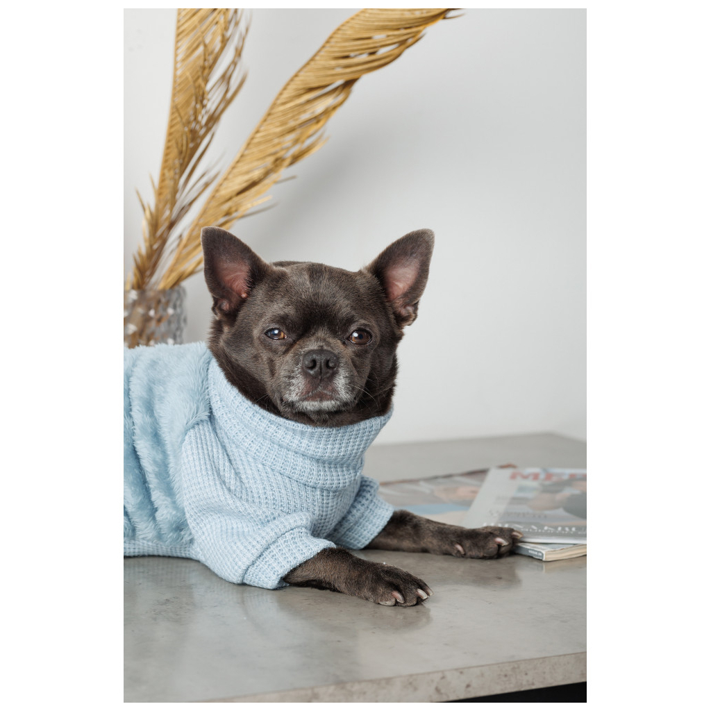 Светр для тварин Pet Fashion Fur S (4823082436057) - зображення 5