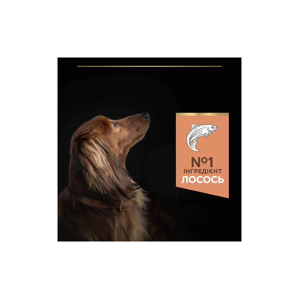 Сухий корм для собак Purina Pro Plan Small&Mini Sensitive Skin з лососем 7 кг (7613035123441) - зображення 7