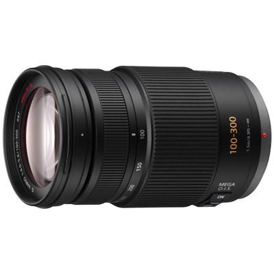 Об'єктив Panasonic Lumix G Vario 100-300mm f/4-5.6 Mega O.I.S. (H-FS100300E) - зображення 1