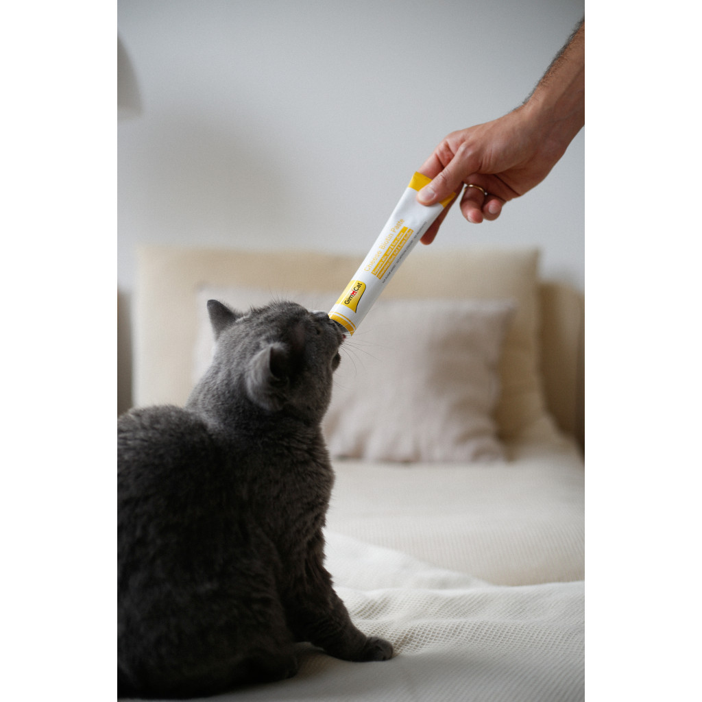 Паста для тварин GimCat Cheese Biotin Paste cирна з біотином 100 г (4002064401010) - изображение 4