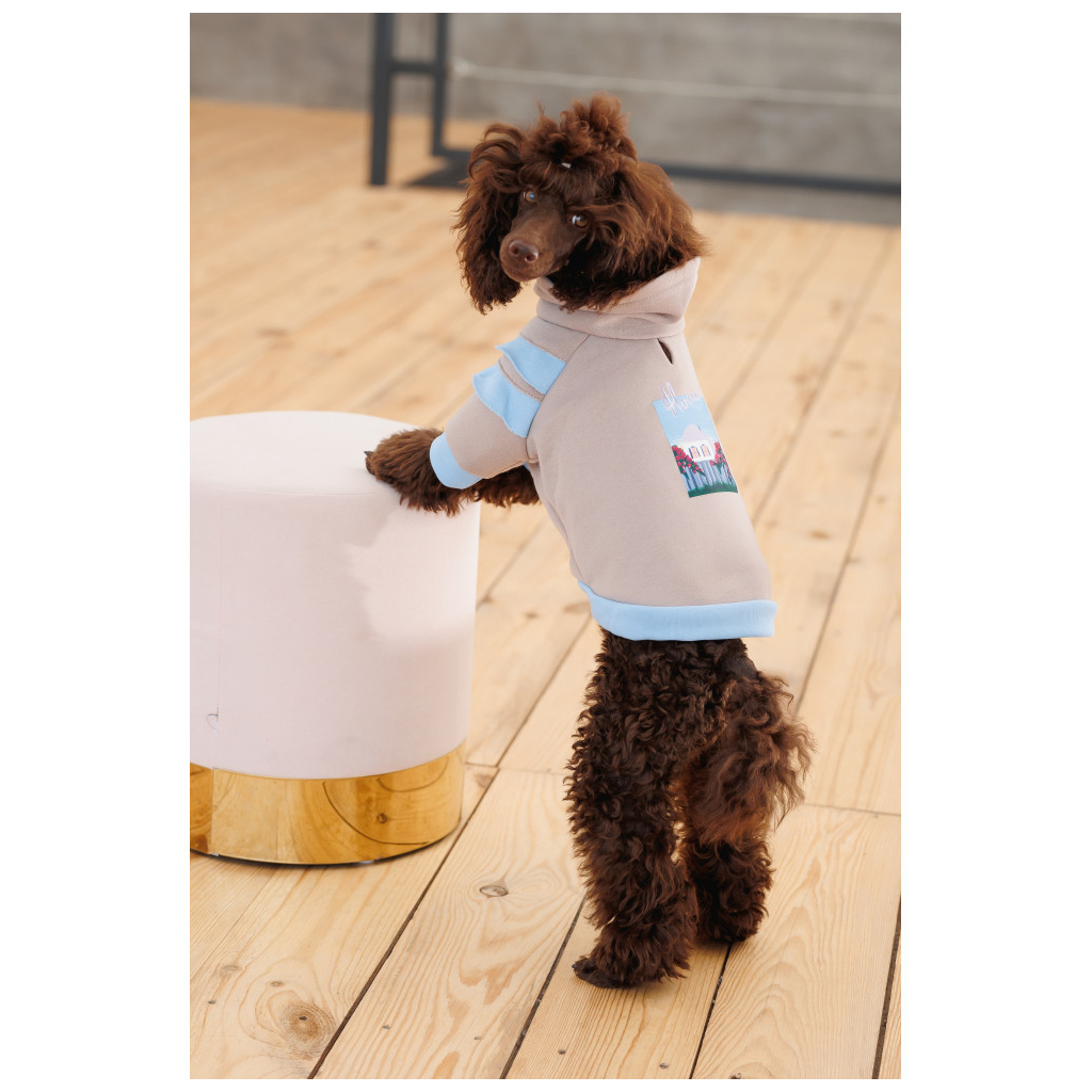 Светр для тварин Pet Fashion Home М (4823082434992) - зображення 8
