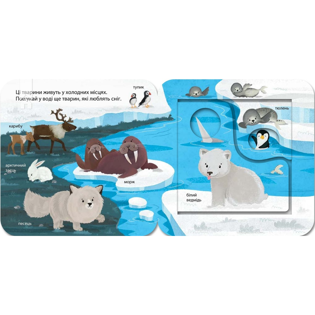 Книга Хто живе в зоопарку? Зазирни у віконечко - Джей Ґарнетт КСД (9786171502826) - зображення 3