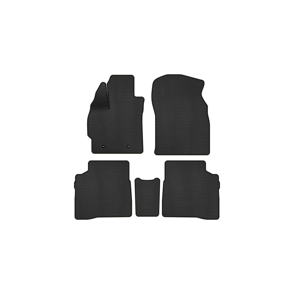 Килимок в салон EVAtech Toyota Prius (ZVW30) 2009-2015 3 поколінн (TY31307C5TL2RBB) - зображення 1