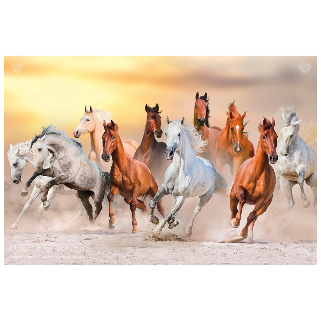 Пазл Tactic Дикі коні, 1000 елементів (56754) - зображення 2