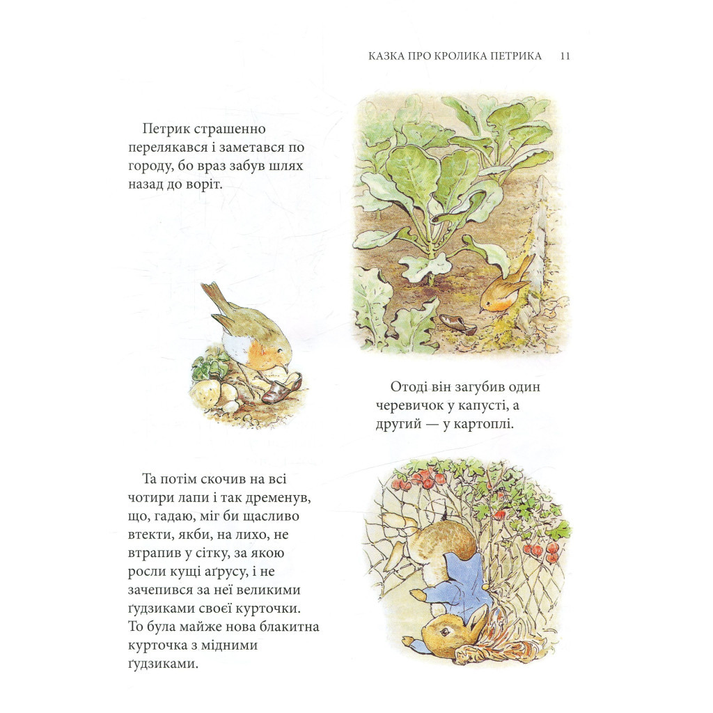 Книга Кролик Петрик та інші історії. Повне зібрання казок - Беатрікс Поттер Астролябія (9786176642558) - зображення 11