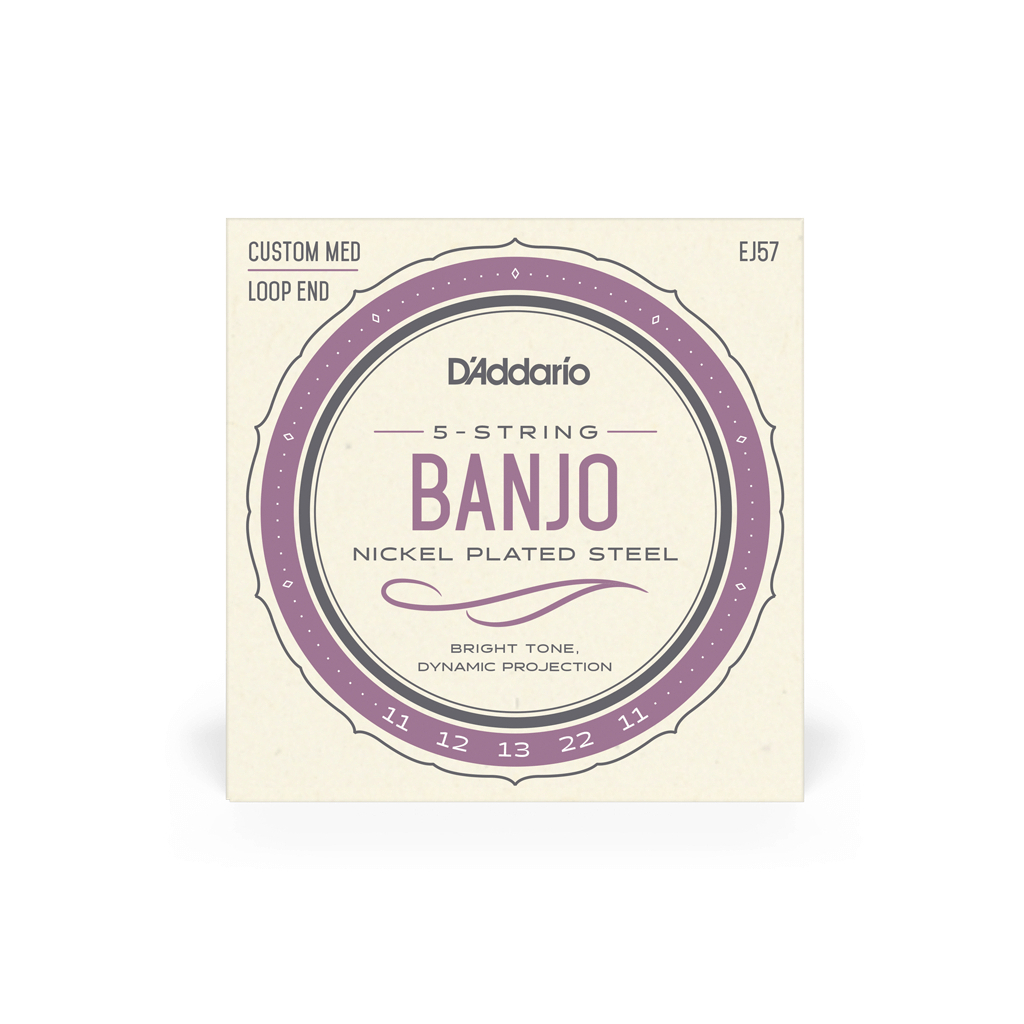 Струни для гітари D'Addario Banjo Nickel Plated Steel Custom Medium (11-22) (EJ57) - зображення 1