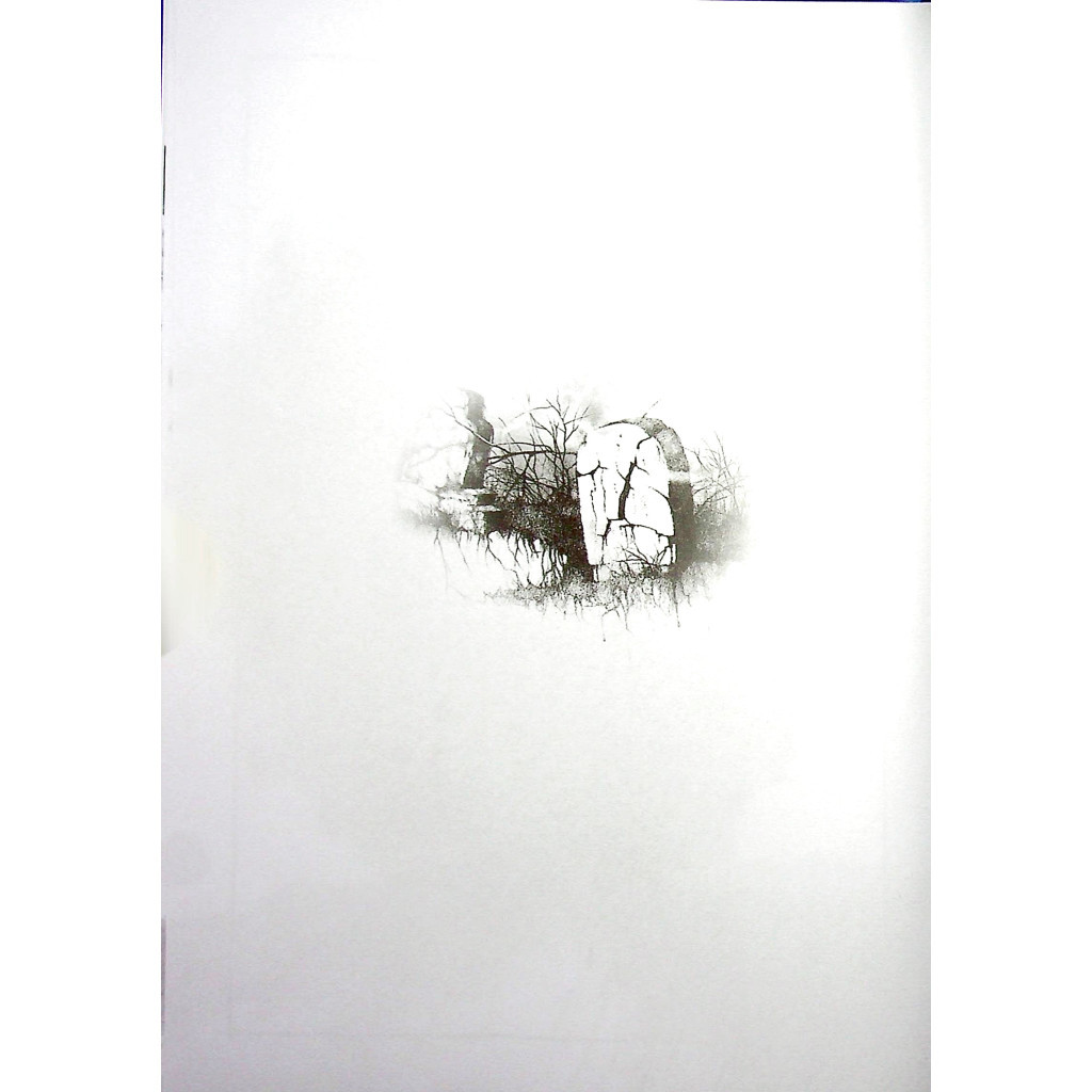 Книга Страшні історії для розповіді в темряві - Елвін Шварц Vivat (9789669823137) - зображення 8