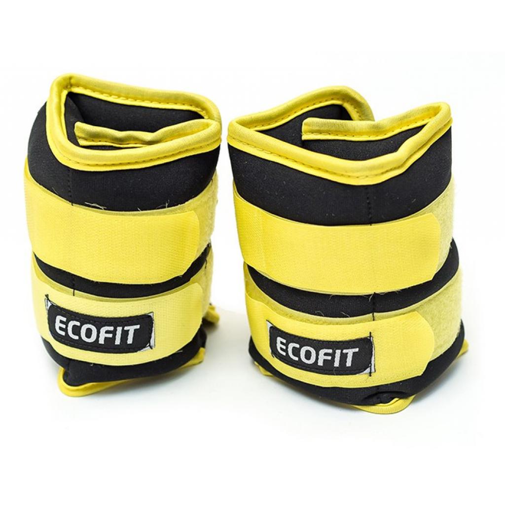 Обважнювач Ecofit MD1625 2,0 кг x 2 шт (К00016578) - зображення 1