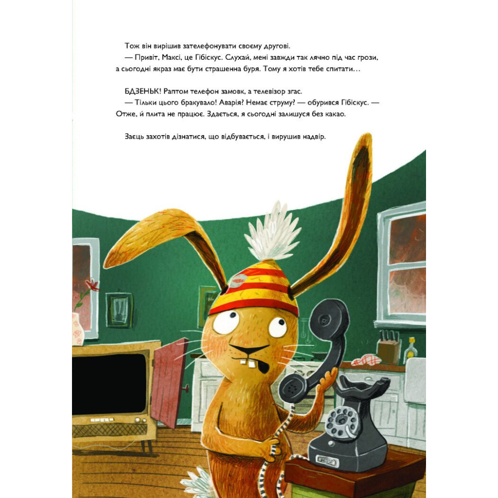 Книга Заєць Гібіскус і моторошне жахіття - Андреас Кеніґ Жорж (9786178287481) - зображення 6