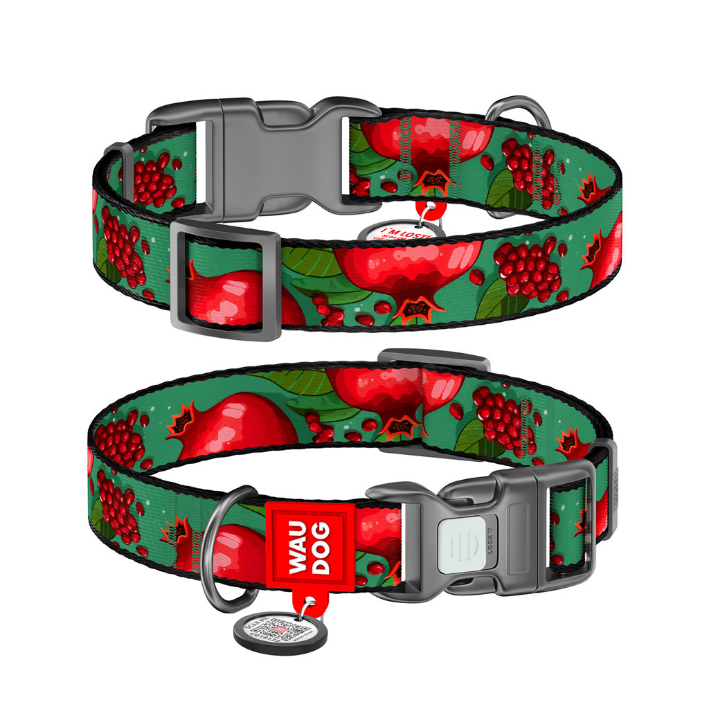 Нашийник для тварин WAUDOG Nylon з QR паспортом "Гранати" пластиковий фастекс L (282-4052) - зображення 1