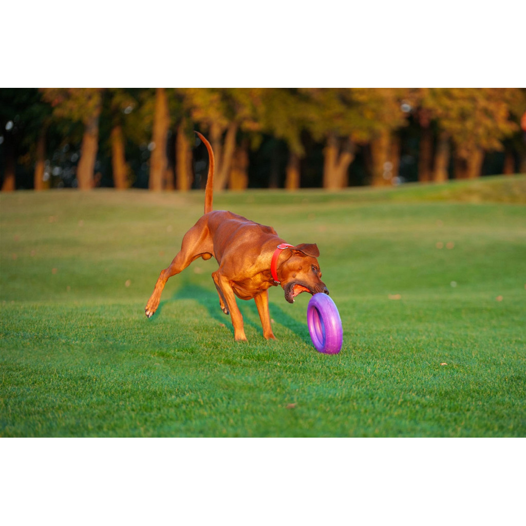 Іграшка для собак Puller Maxi 30 см (6492) - изображение 9