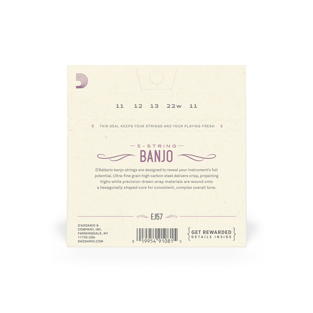 Струни для гітари D'Addario Banjo Nickel Plated Steel Custom Medium (11-22) (EJ57) - зображення 3
