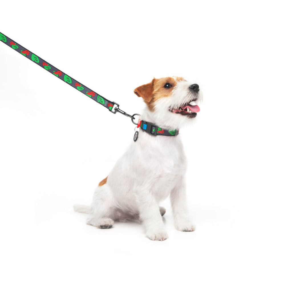 Повідець для собак WAUDOG Nylon "Калина" S (4915-0228) - зображення 3