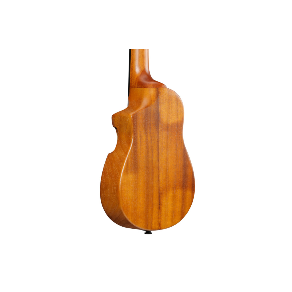 Укулеле Ibanez AUC10E OPN (234983) - зображення 7