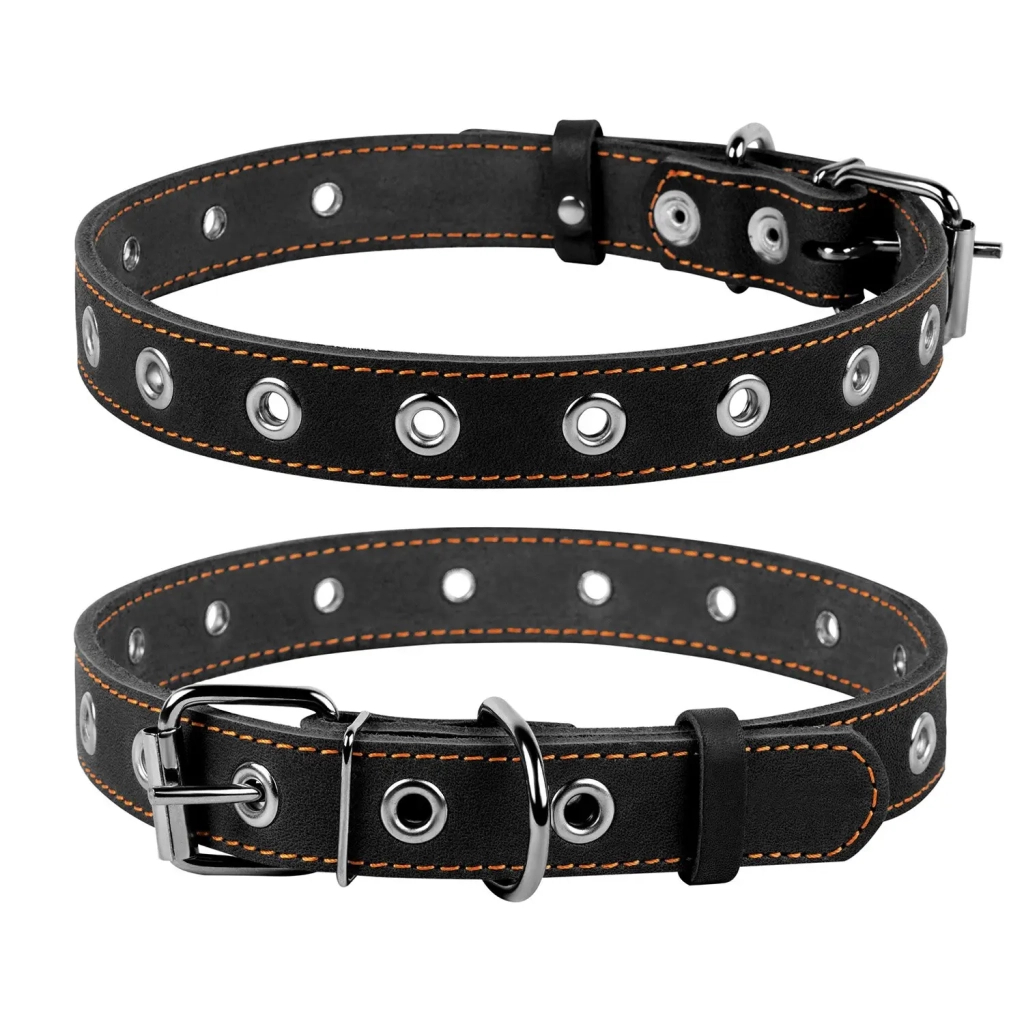 Нашийник для тварин Collar безрозмірний 25 мм 60 см (чорний) (02441) - зображення 1