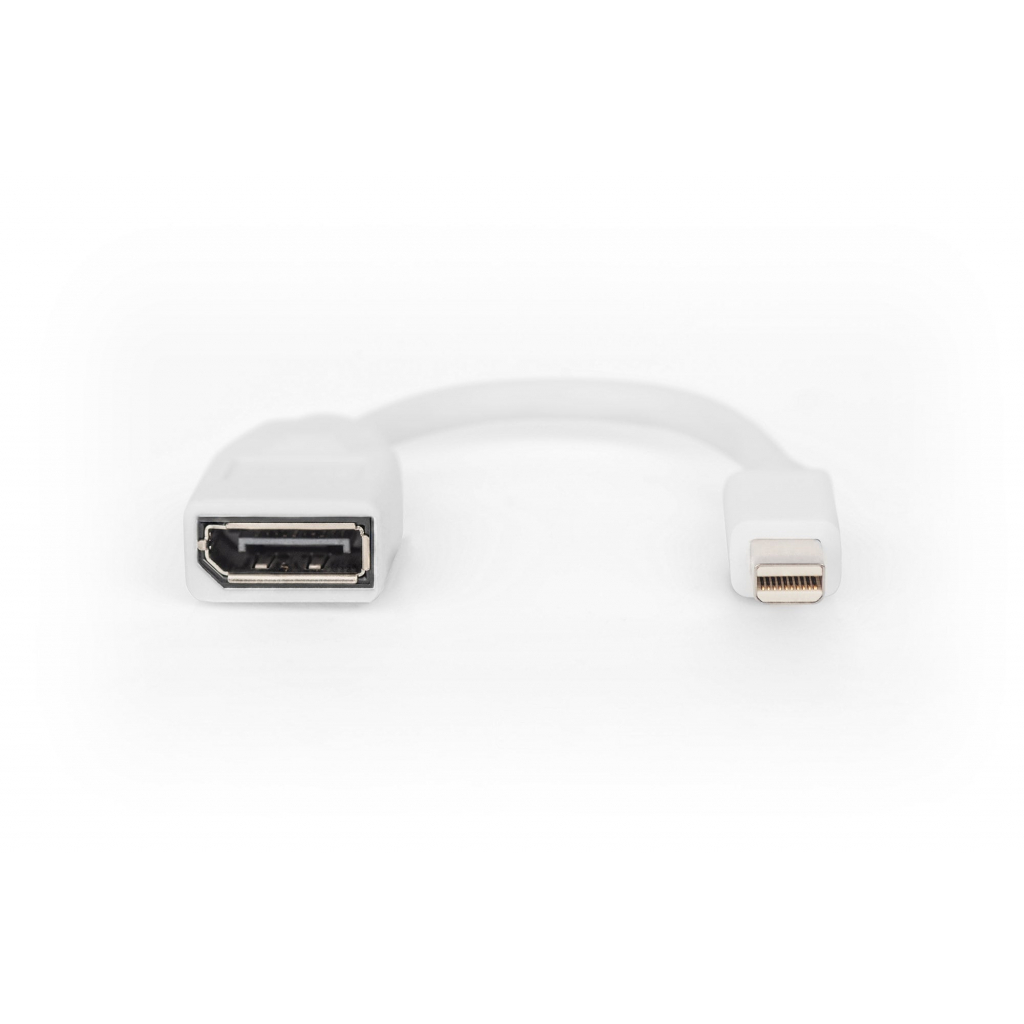 Перехідник mini DP to DP, M/F, 0.15m, white Digitus (DB-340405-001-W) - зображення 4