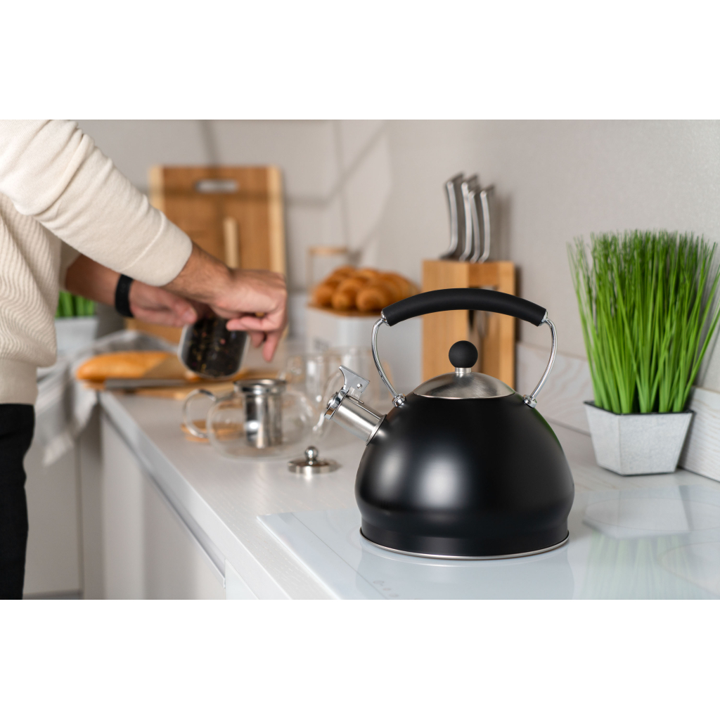 Чайник Ardesto Black Mars 3 л (AR0748KS) - зображення 3