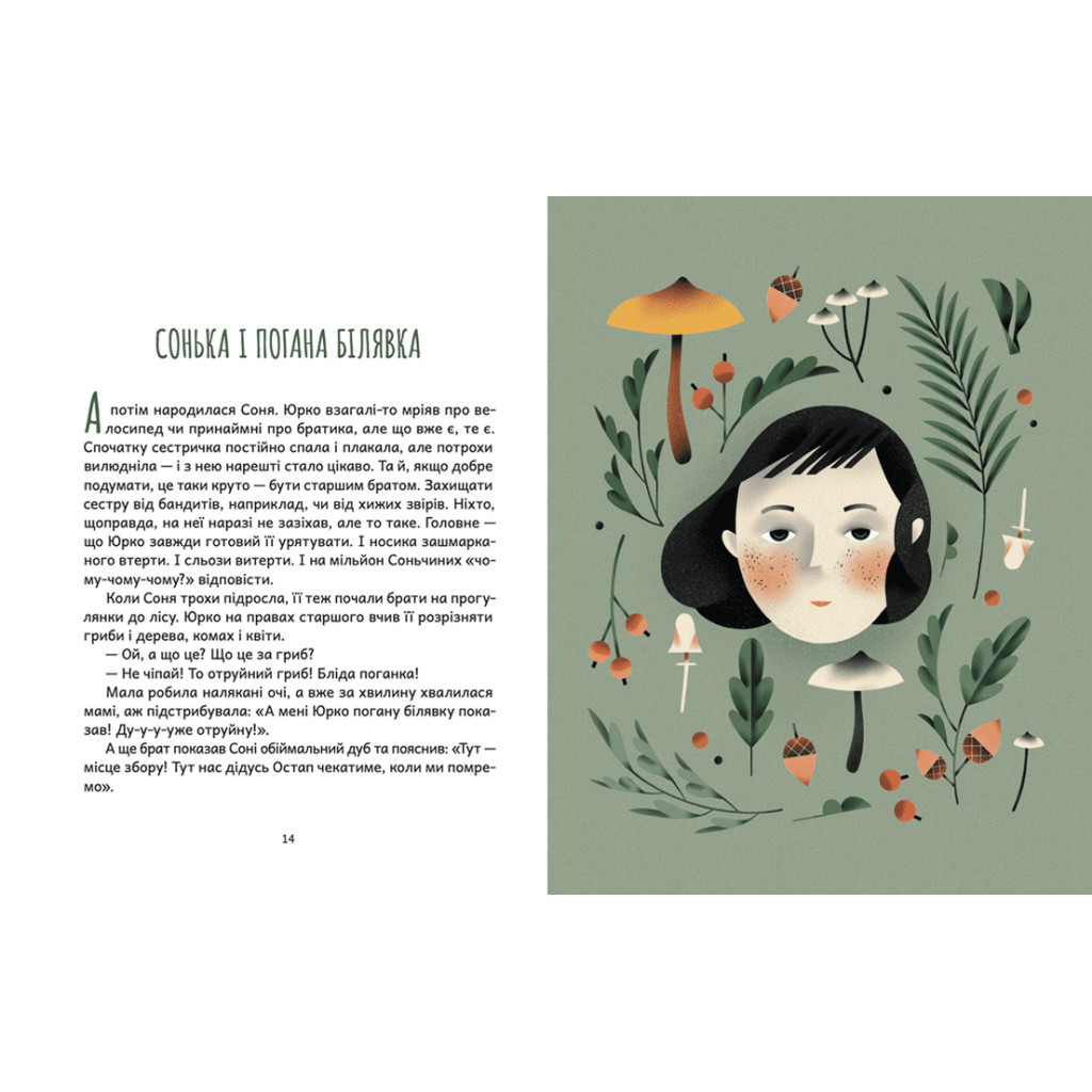 Книга Дубочок з війни - Ганна Осадко Видавництво Старого Лева (9789664482278) - зображення 6