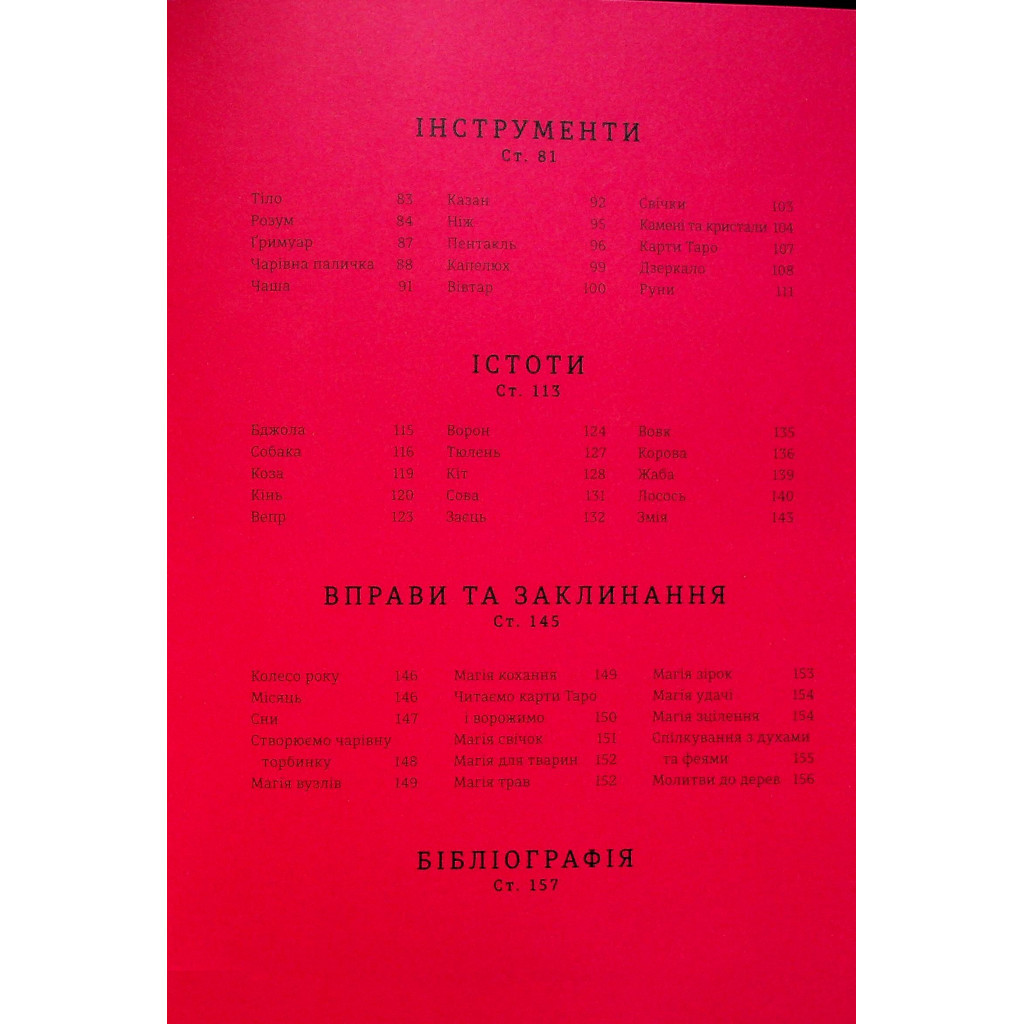 Книга Чарівники й чаклунки: посібник із магії для початківців - Франческа Маттеоні #книголав (9786178286125) - зображення 4