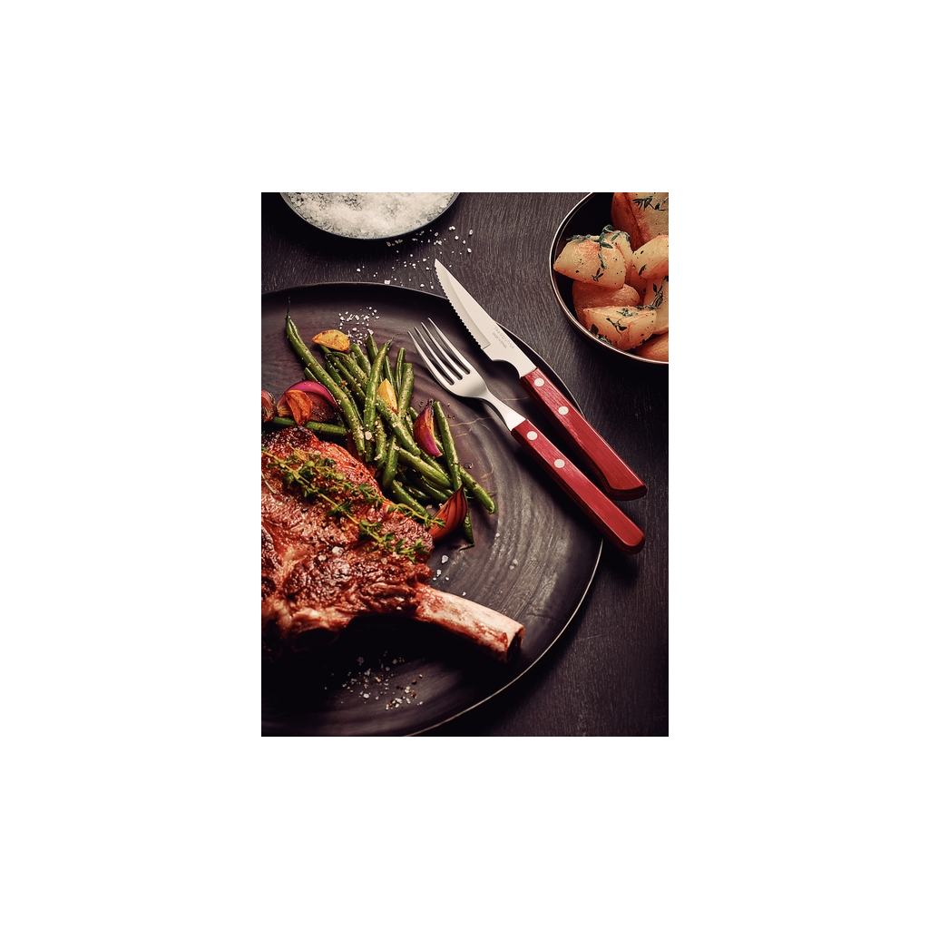 Набір столових приборів Tramontina Barbecue Polywood 12 предметів червоне дерево (21199/709) - зображення 4