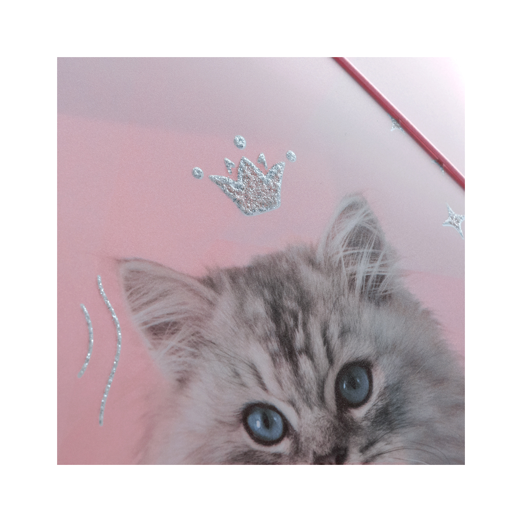 Папка на резинках Kite A4 Rachael Hale (R25-247) - изображение 6