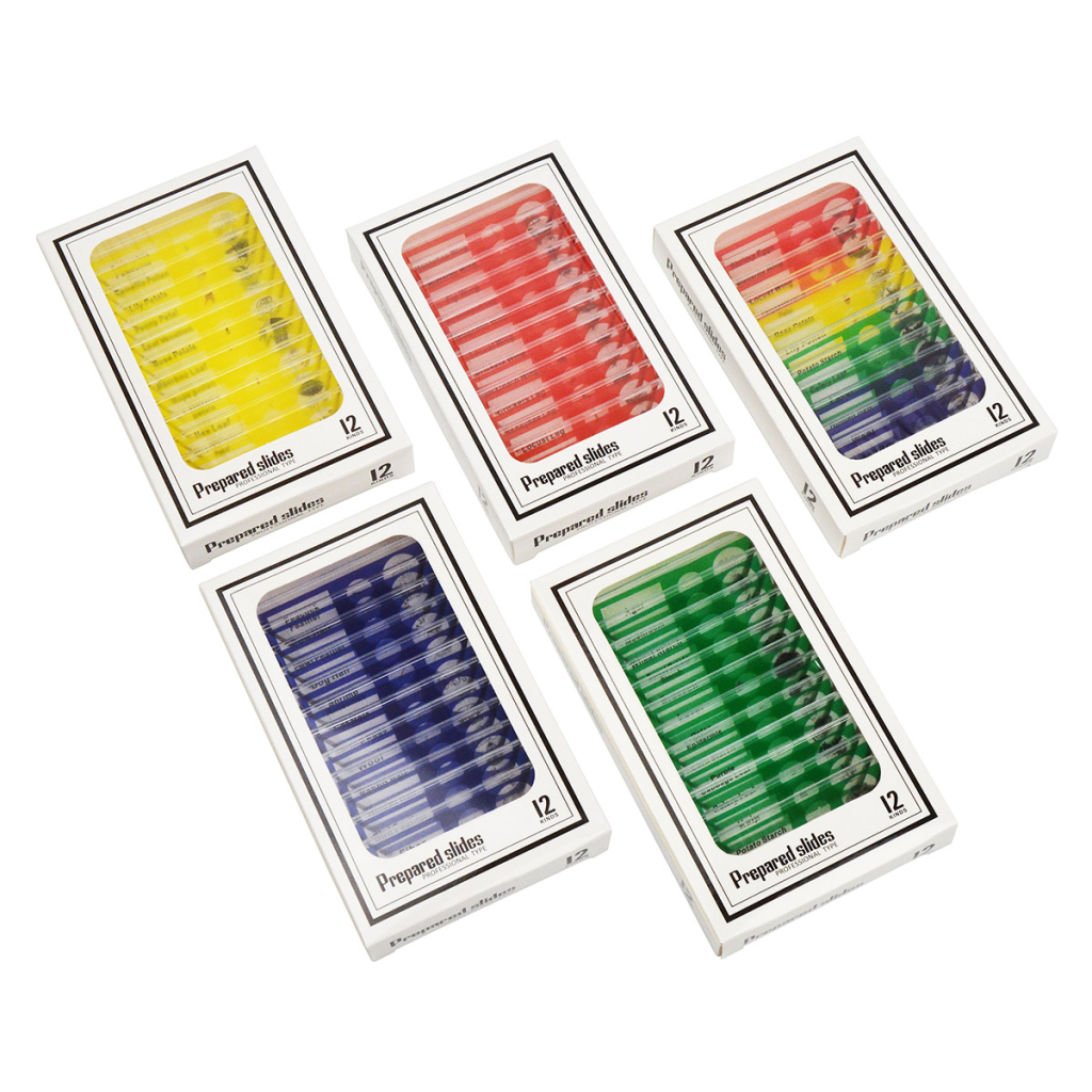 Набір мікропрепаратів Sigeta Entrance Будова комах (12 шт) (65122) - зображення 5