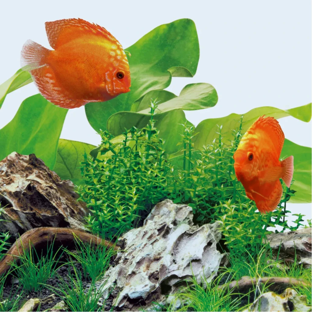 Світильник для акваріума Juwel Day LED 1200 мм (4022573868128) - зображення 3