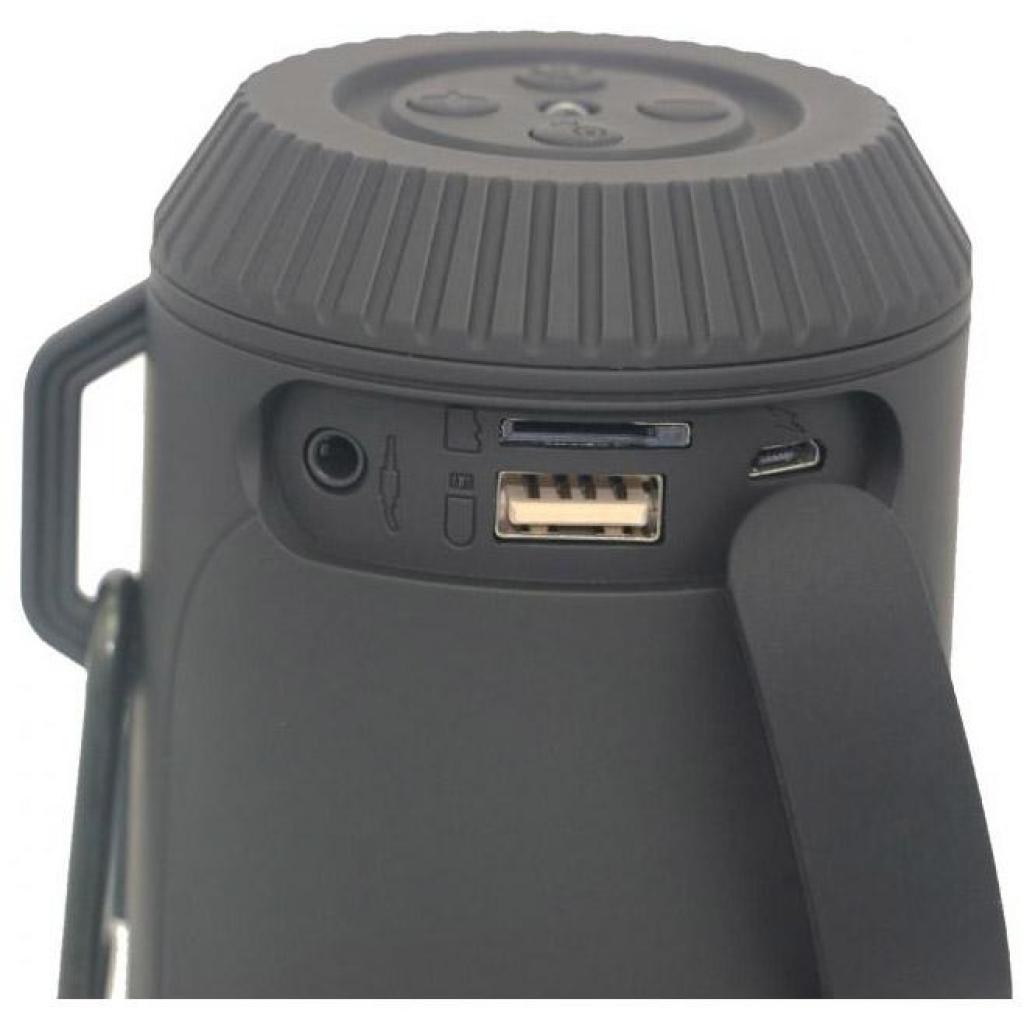 Акустична система Greenwave PS-601WP black (R0015299) - зображення 4