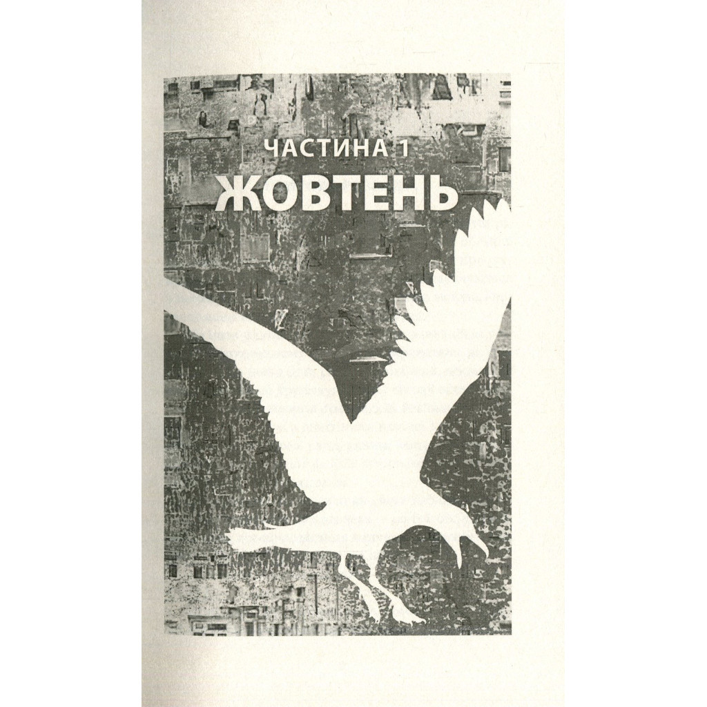 Книга Місто Боуган - Кевін Баррі Астролябія (9786176641285) - зображення 3